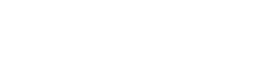 MemSystems whit logo with transparant background